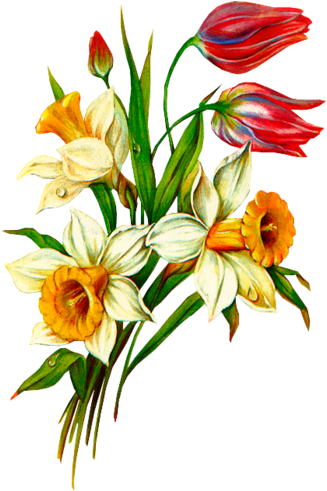 Tree Artwork, Decoupage Art, Flower Prints, Flower - Советские Открытки К 8 Марта (339x500)