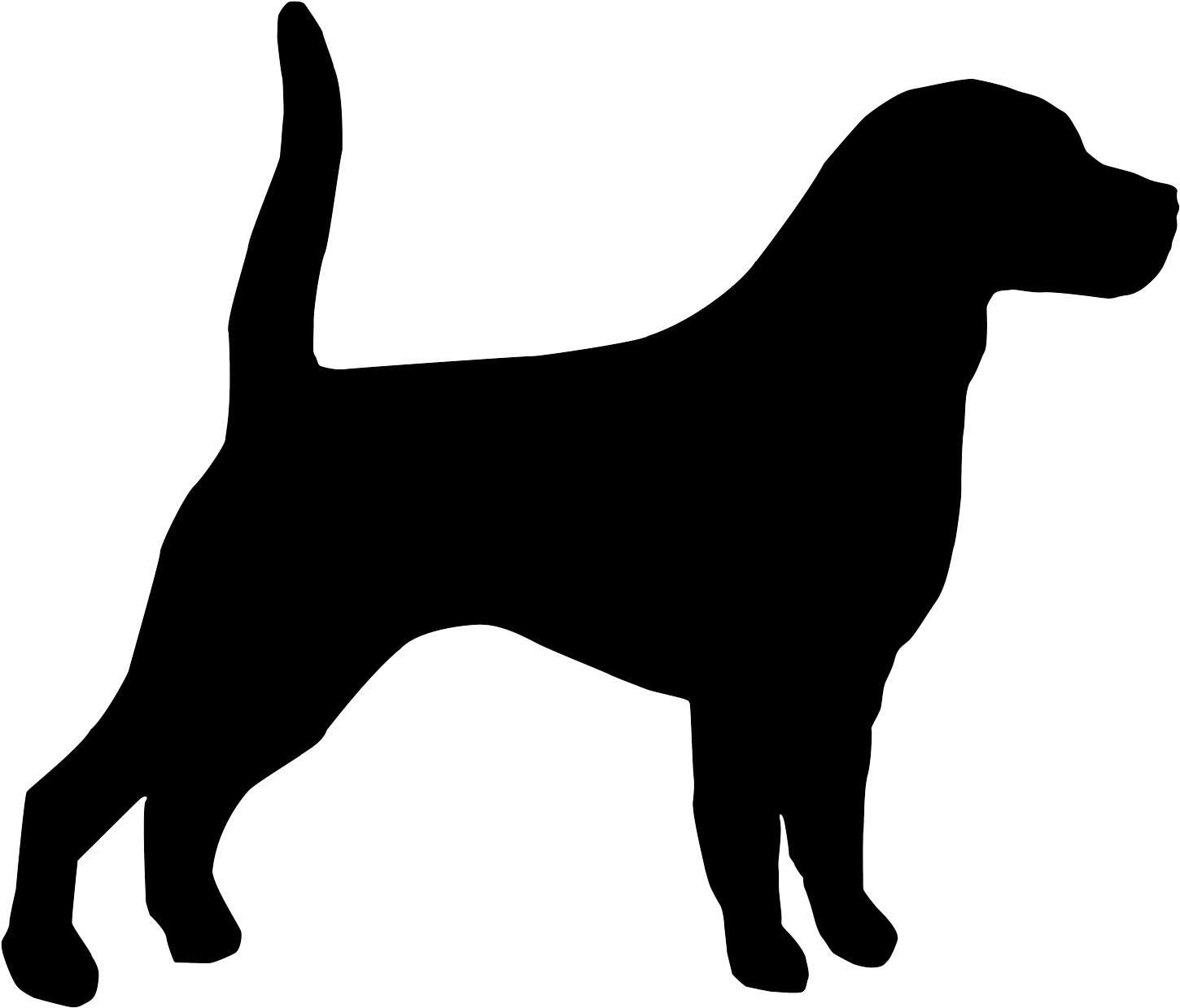 Beagle Bloodhound English Affenpinscher Puppy Retriever - Silhouette Beagle (1487x1278)