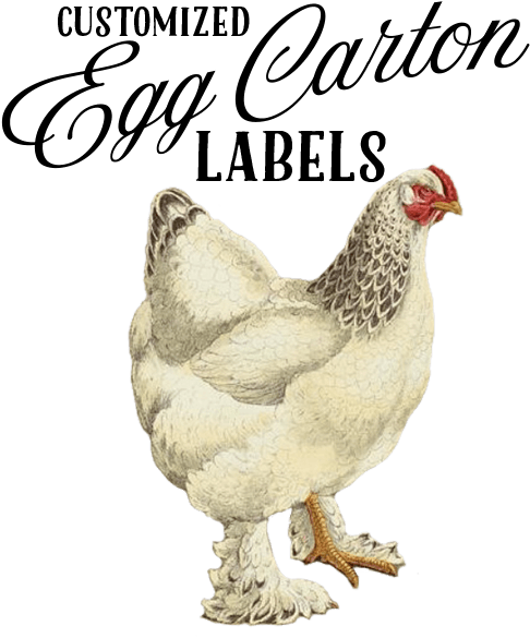Add To Wishlist Loading - Chicken (500x592)