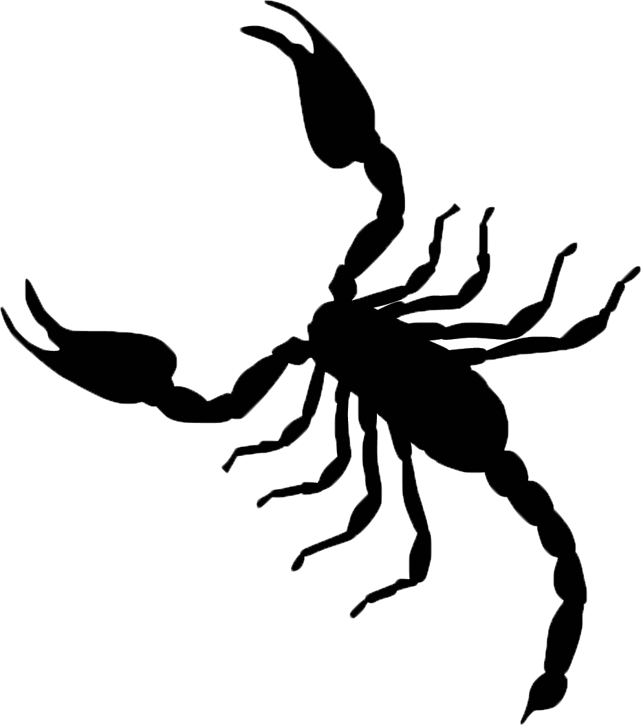 Elephant Dog Dog01 Cat Dogs01 Paw Scorpio Croc - Understanding The Alacran By Jonathan Lapoma (932x1054)