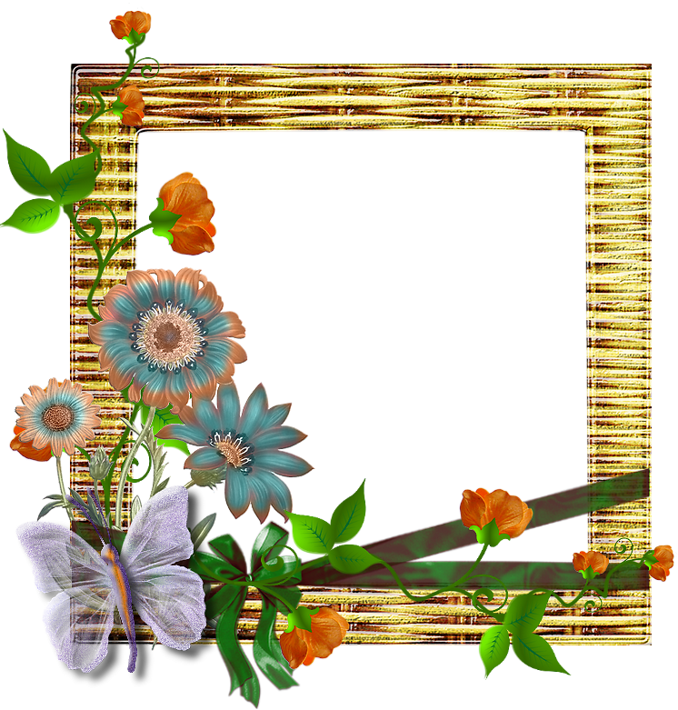Image Du Blog Zezete2 - Picture Frame (746x781)