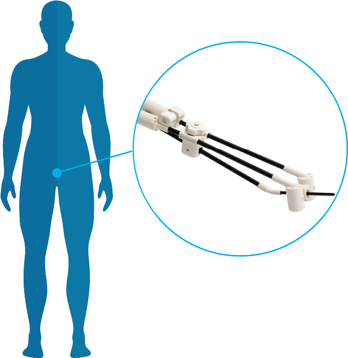 All Rights Reserved © - Body-opedia Name That Body Part By Speedy Publishing (800x800)