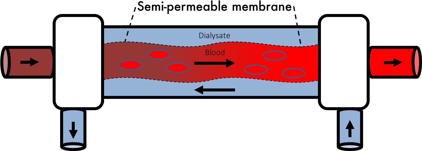 High Efficiency - Low Flux Dialyzers (1410x525)