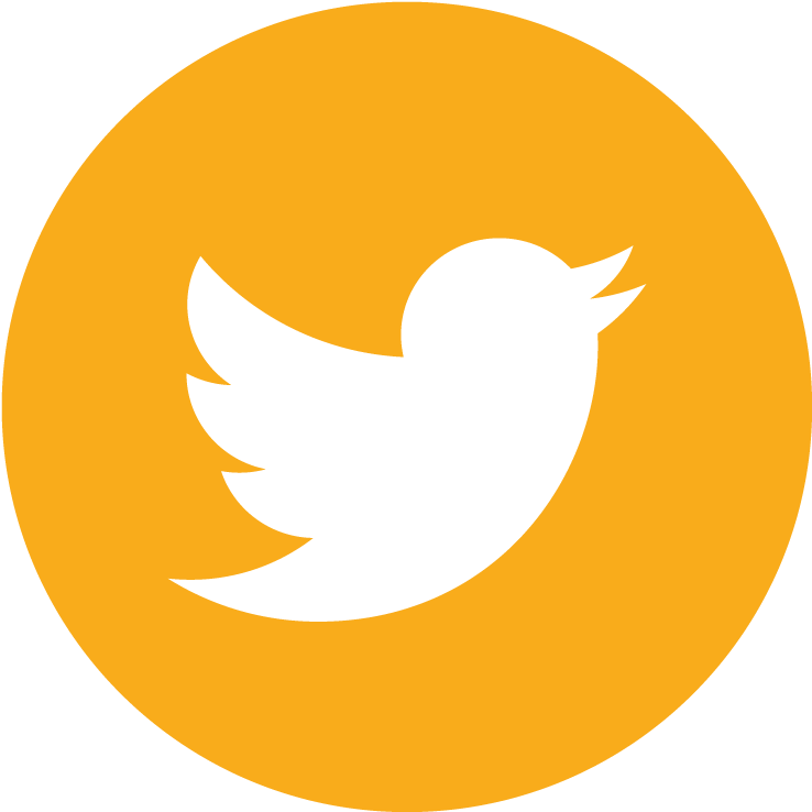 Twitter - Circle Twitter Icon Png (800x800)