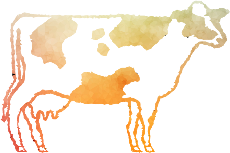 Cow Clip Art Clipart Baka Taurine Cattle Clip Art - Cattle (900x900)