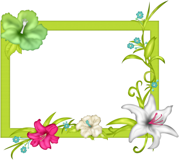 Image Du Blog Zezete2 - Moldura Havaiana Para Fotos Png (600x534)