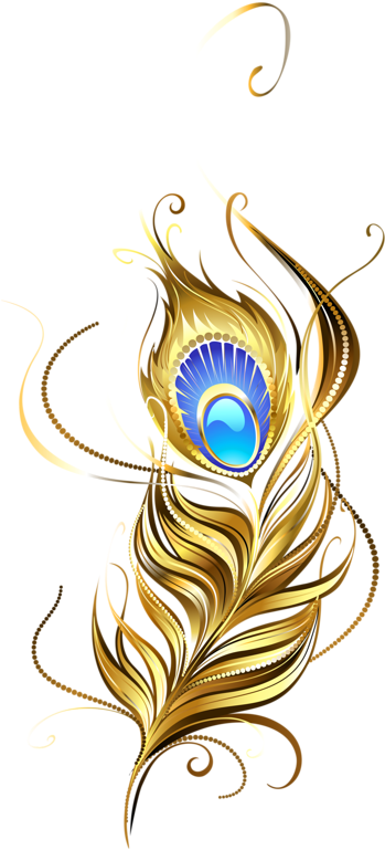 Яндекс - Фотки - Bulu Merak Png (352x800)