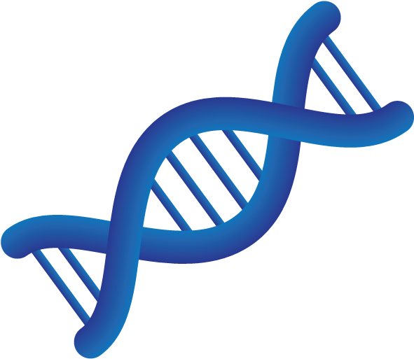 Medical Personalized Medicine Chromosome - Transparent Medical (792x612)