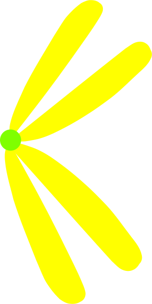 Graphic Design (300x597)