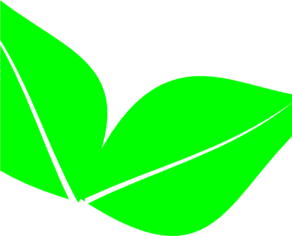 Green Leaf Clipart Green Leaf Clipart Two Leaves Clip - Clip Art (1024x1024)