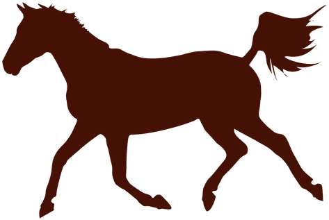 Horse Back Riding (512x512)
