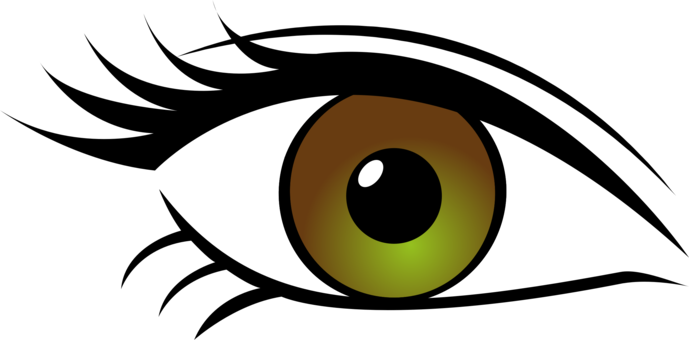 Eye Color Computer Icons Eyelash Human Eye - Green Eyes Transparent Background (689x340)