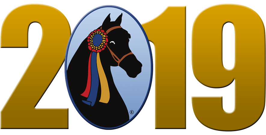 The Grand National & World Championship Morgan Horse - Horse (900x450)