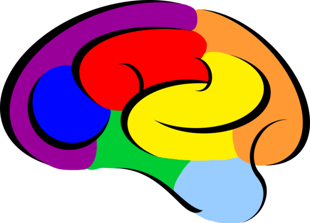 Clip Art Free Consciousness And The Modularity Of Today - Clip Art (639x459)