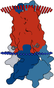 Proton Channel M2 From Influenza A In Complex With - Illustration (350x350)