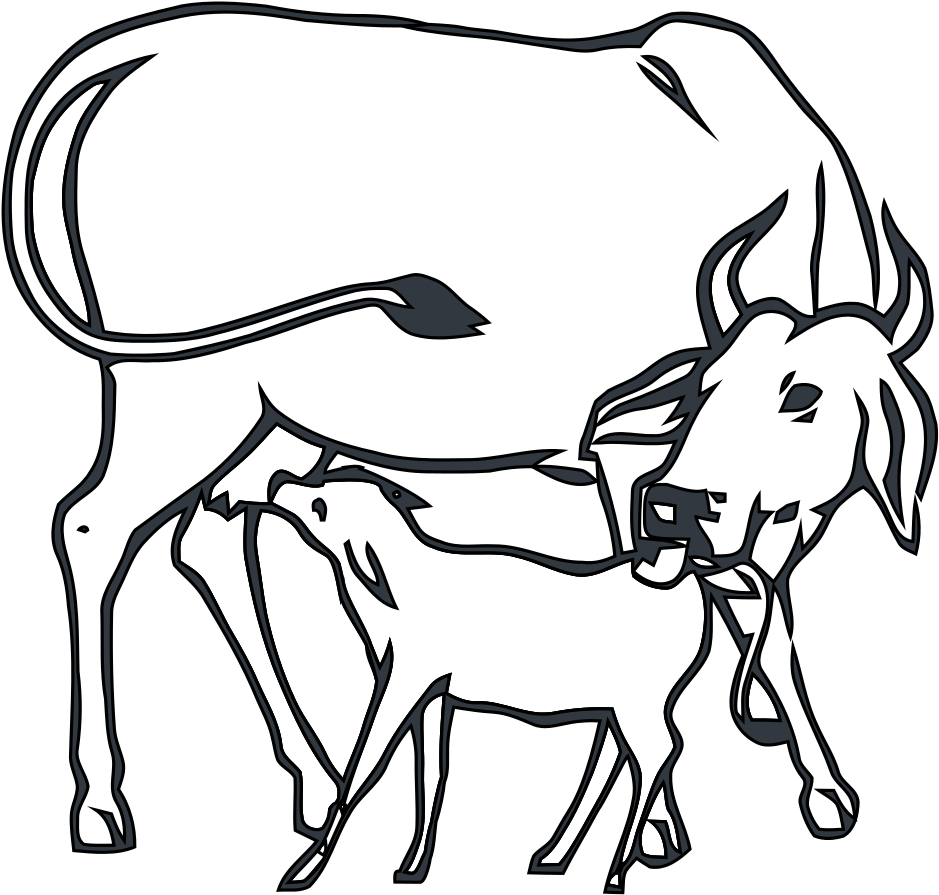 Cow With Calf Drawing (1142x1024)