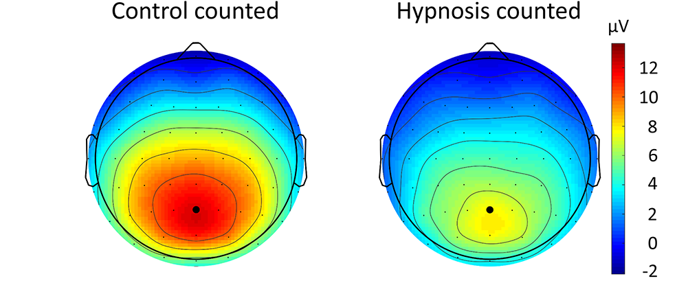 Topographical Maps For The P3b Response To The To Be - Topographic Map (1000x460)
