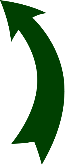 Tried To Access - Circle (226x568)