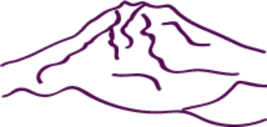 Washington (524x250)