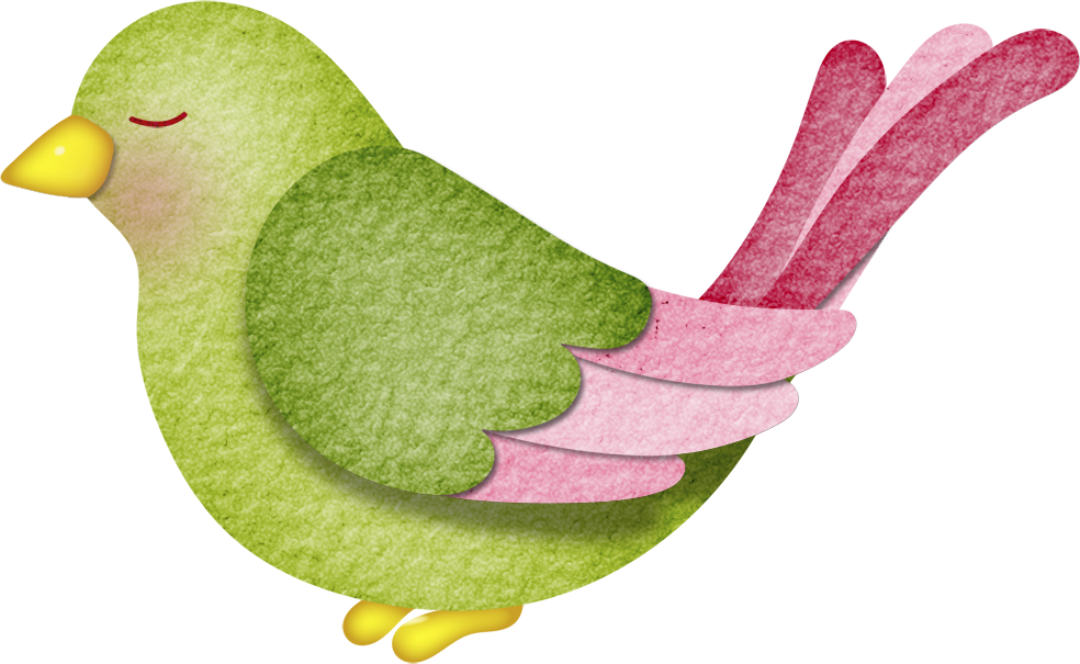 Aves & Passáros & Corujas Etc - Bird (984x605)