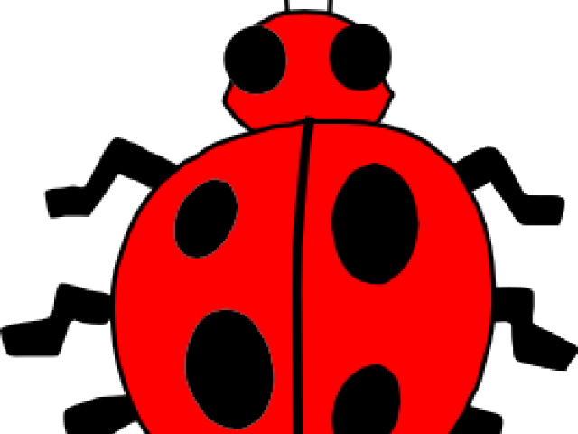 Insect Clipart Ladybug - Clipart Picture Of Bug (640x480)