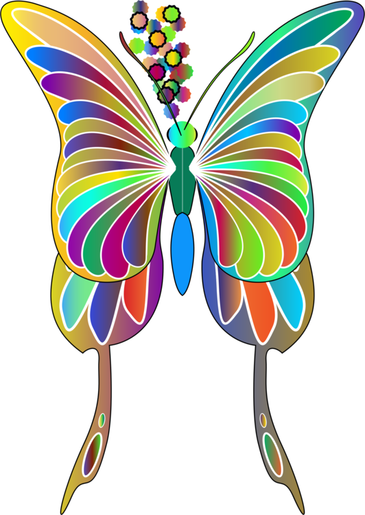 All Photo Png Clipart - Butterfly (532x750)