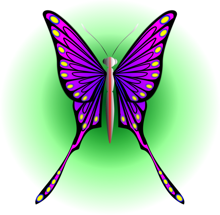 All Photo Png Clipart - Monarch Butterfly (970x750)