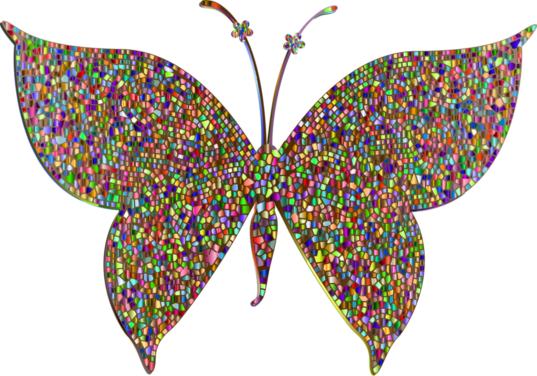 All Photo Png Clipart - Turquoise Butterfly Png Hd (1072x750)