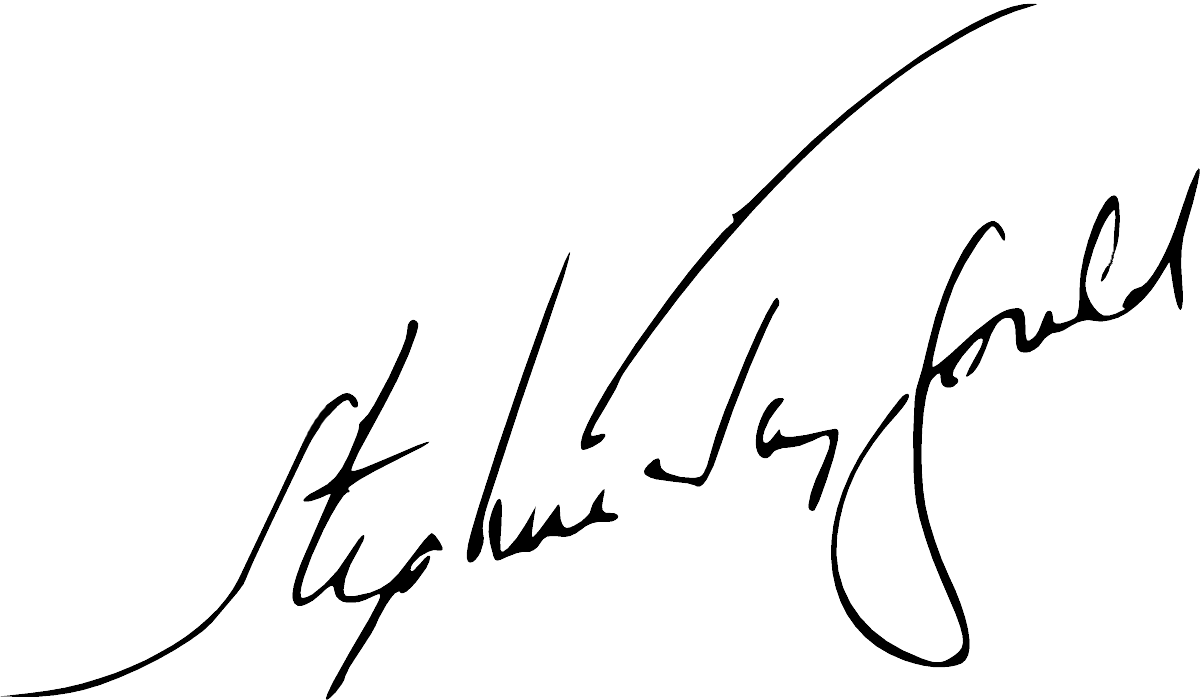 Sjg Signature - Signature (1200x700)