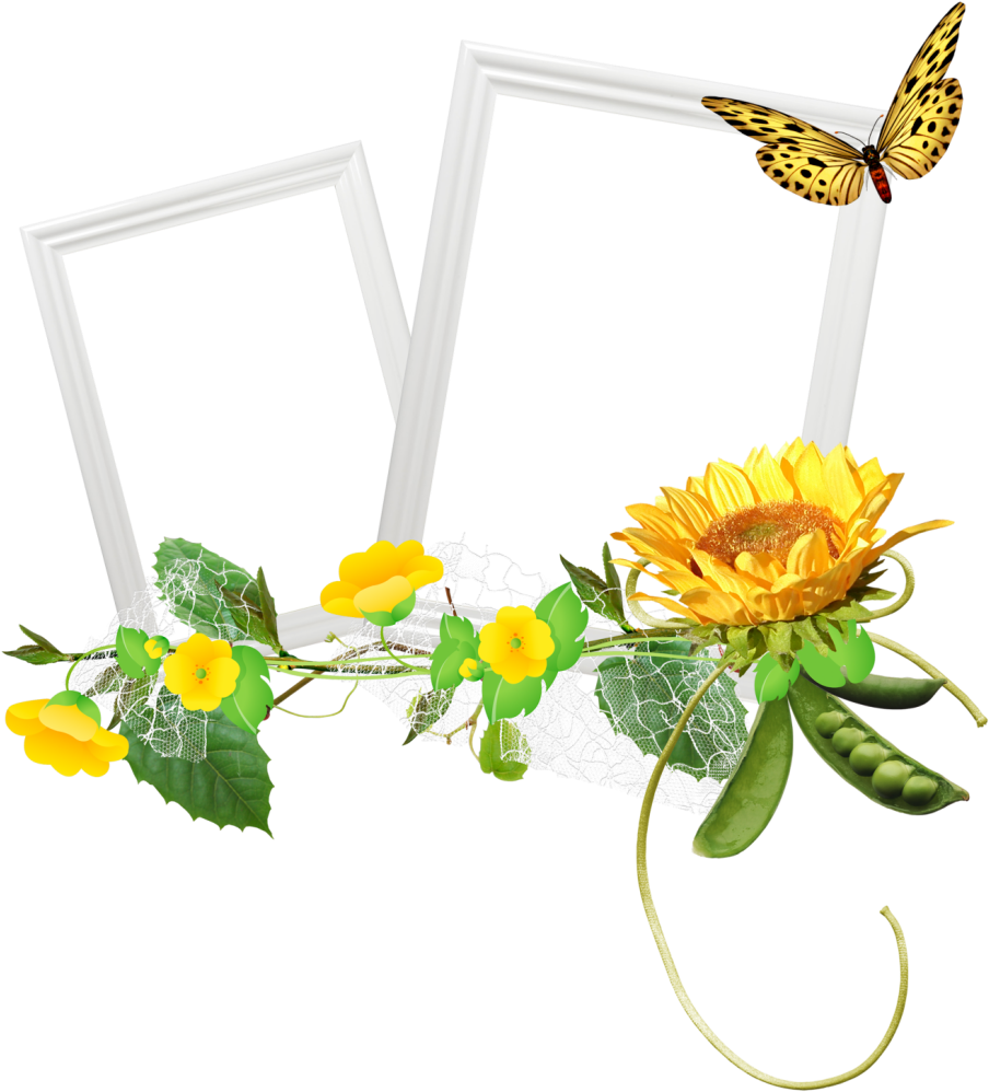 B *✿* Christmas Frames, Halloween Frames, Borders And - Sunflower Free Vector (936x1024)