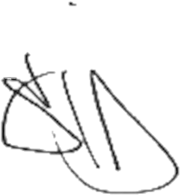 Sia Signature - Sia (642x701)