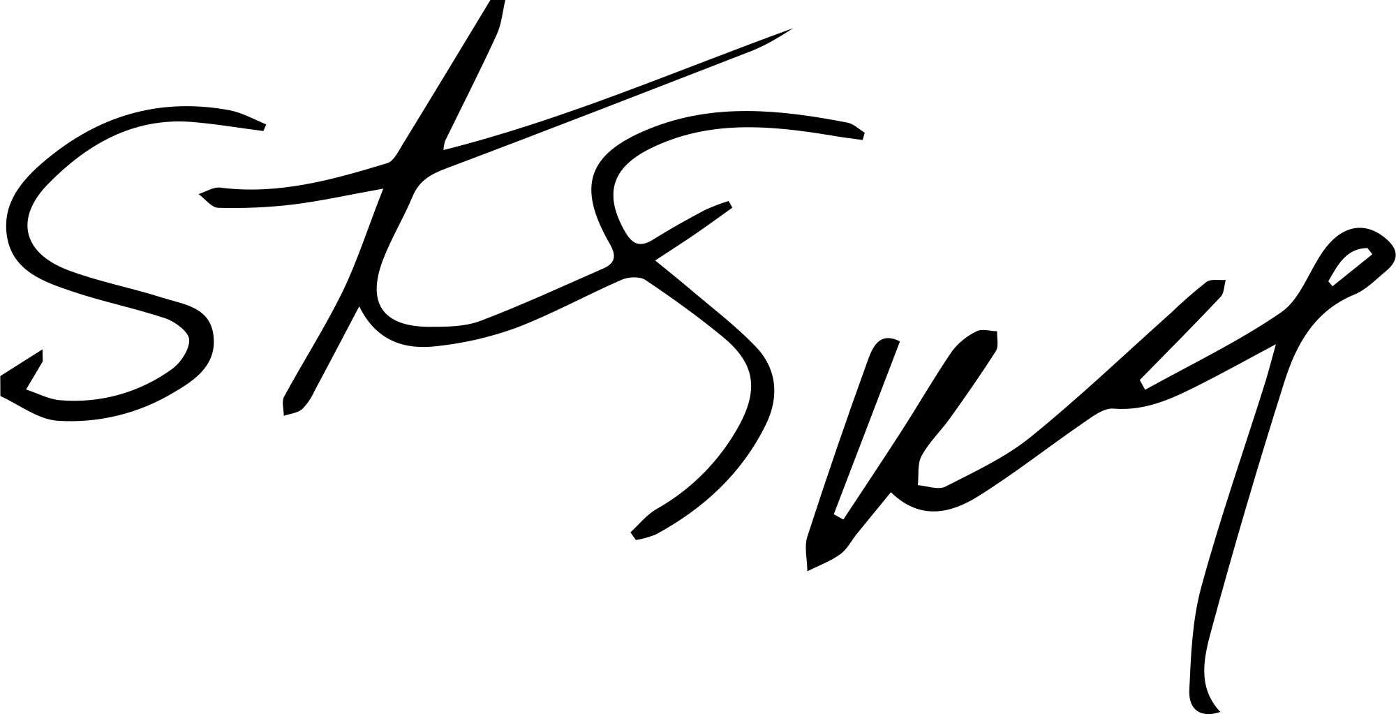 Open - Steven Spielberg Signature (2000x1023)