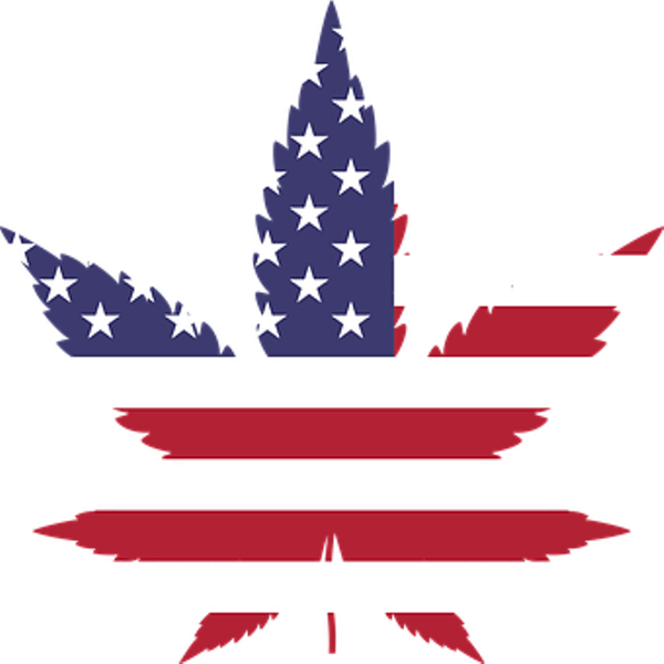 Marijuana-2766322 340 - Marijuana American Flag (600x600)