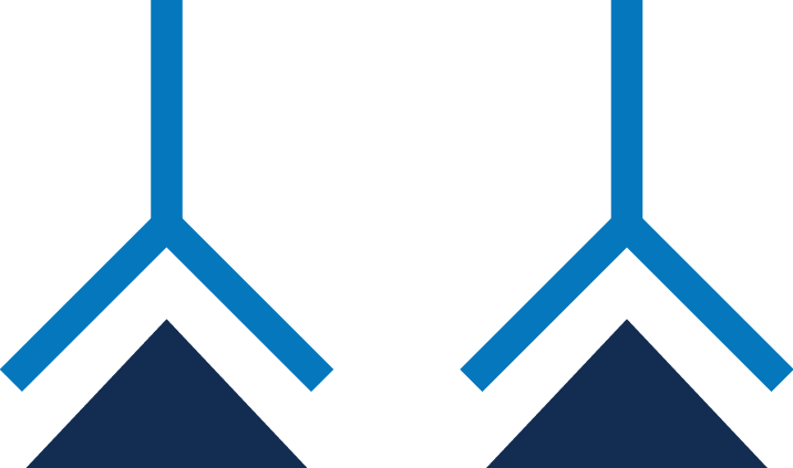 Incubate With Primary Antibodies - Primary And Secondary Antibodies (716x423)