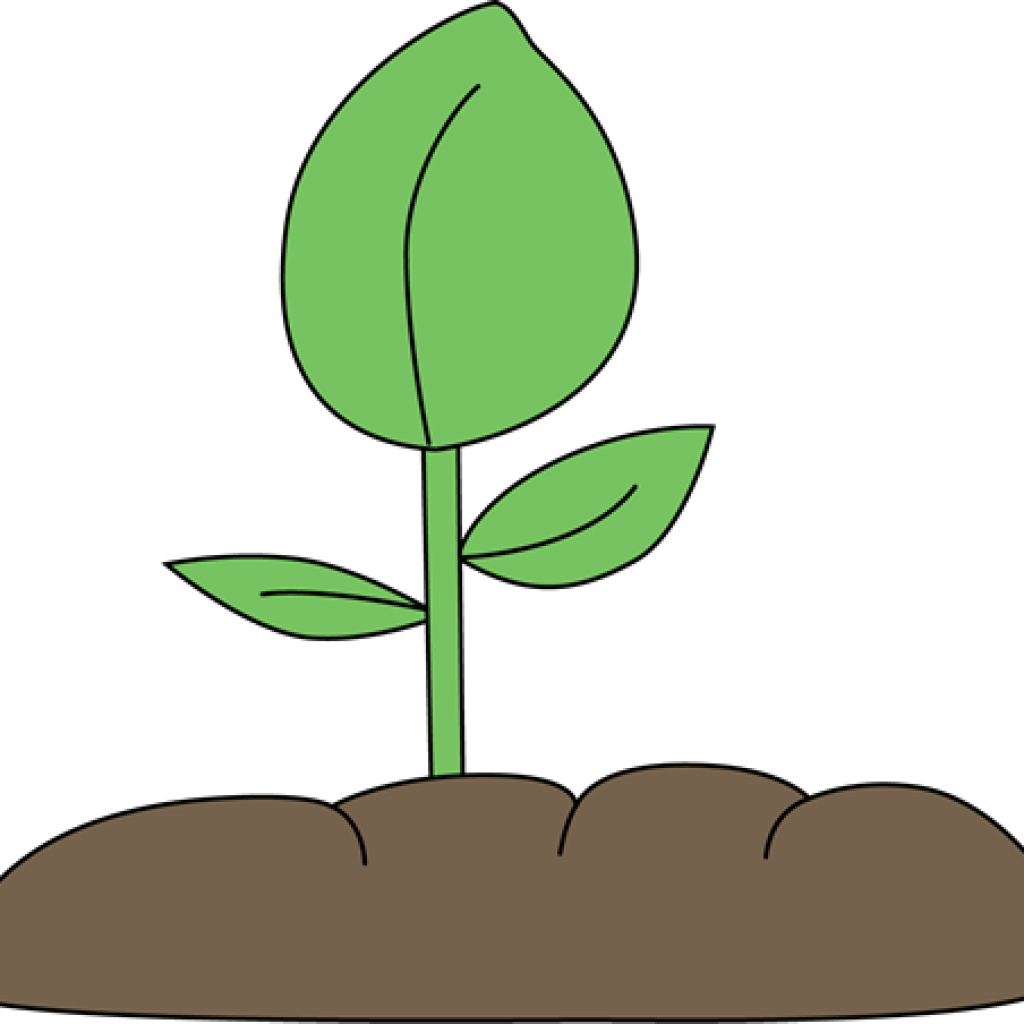 Clip Art Plant Clip Art Plant Plant Clip Art Plant - Clip Art (1024x1024)
