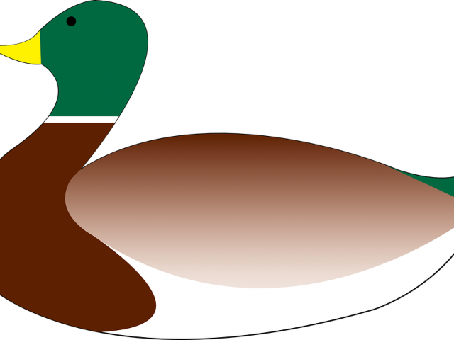 Mallard Clipart Transparent - Mallard (640x480)