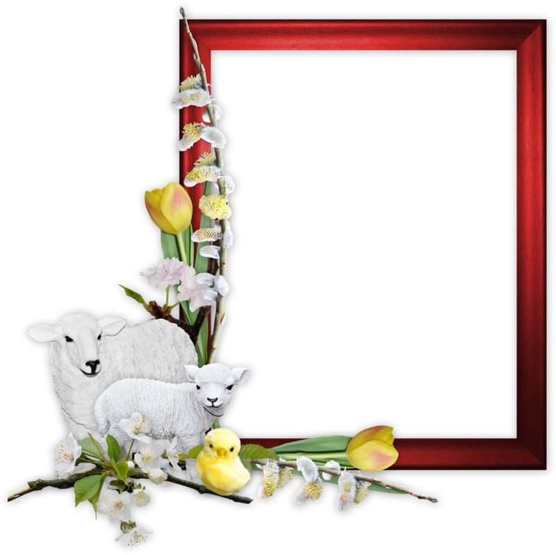 Яндекс - Фотки - Picture Frame (800x799)