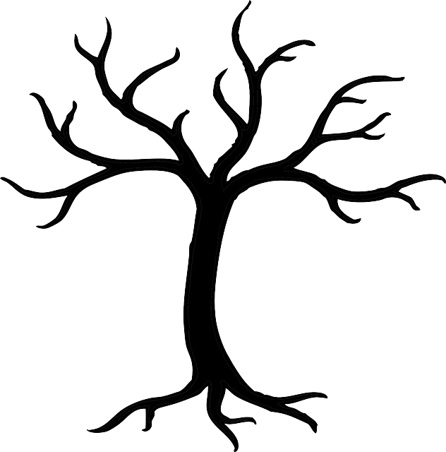 Tree, Dead, Dried, Branches, Trunk, Nature, Summer - Bare Tree Clip Art (632x640)