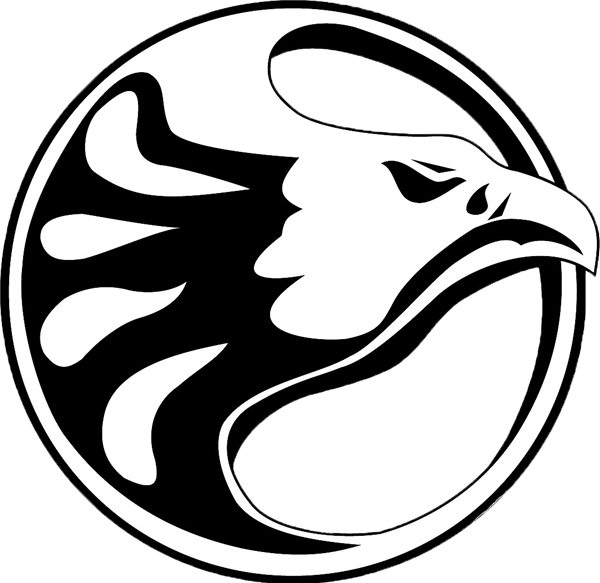 Nighthawk Parents - Ironwood Ridge High School Logo (600x583)