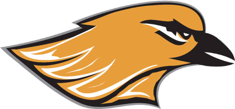 Hartford High School Wisconsin Football Teams (800x442)