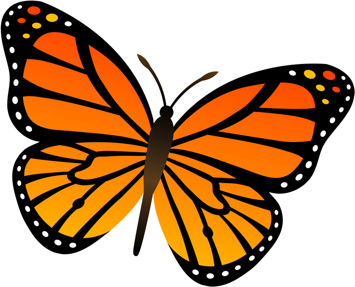 Goals For The Butterfly Room Butterfly - Coloring Pages Of Butterflies (1311x1019)