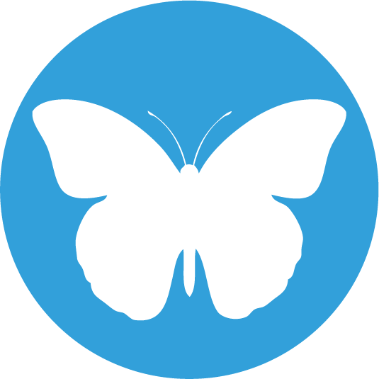 These Welcoming Interactive, Engaging Classes Finish - Mathematics (535x535)