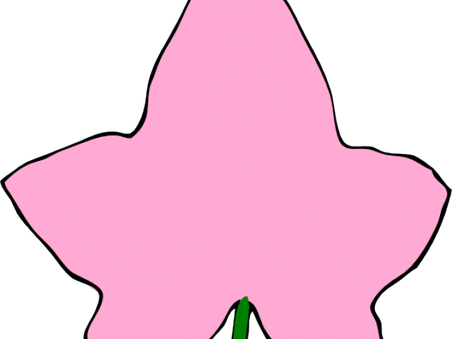 Ivy Clipart Alpha Phi - Information (640x480)