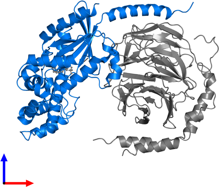 Pdb 3ah8 Contains 1 Copy Of Guanine Nucleotide Binding - Illustration (800x800)