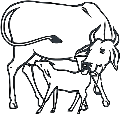 Svg Transparent Library Drawing At Getdrawings Com - Cow And Calf Drawing (500x448)