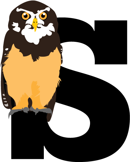 Graphic Royalty Free Download Bird Type Coloveration - Cartoon (960x960)