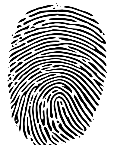 Thumb Print - Fingerprints Png (411x482)