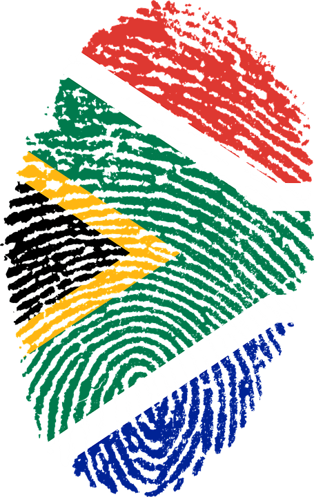 South African English Is Lekker - South African Flag Png (455x720)