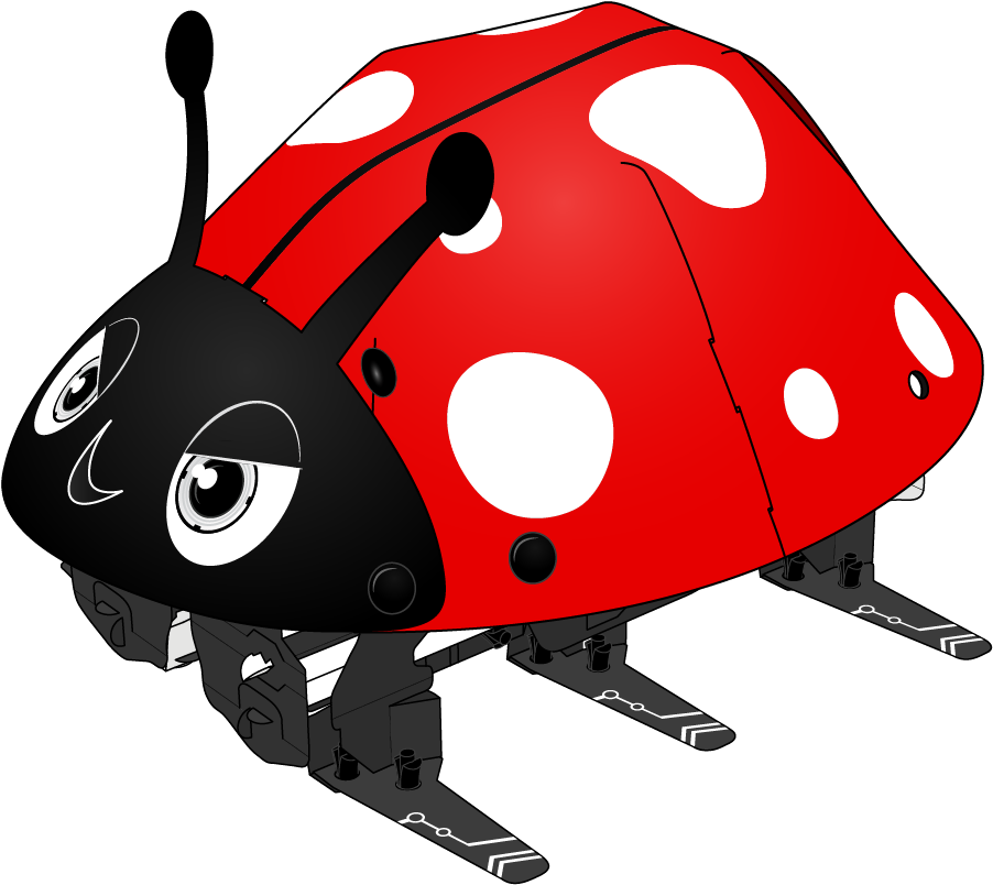 Ladybugs Clipart Body - Insect (1275x1271)
