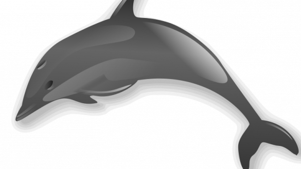 Dolphin Clipart File Svg Wikimedia Commons - Dolphin Clip Art (585x329)